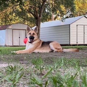 Meet your Posher, Bridget